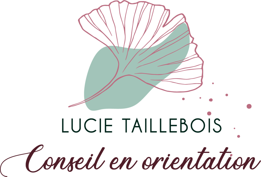 LUCIE TAILLEBOIS CONSEIL