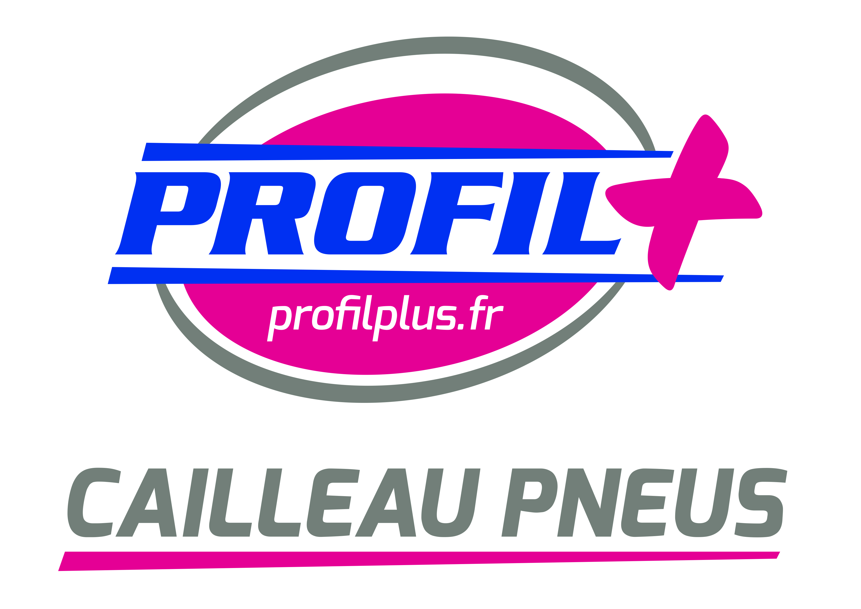 CAILLEAU PNEUS - PROFIL +