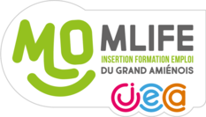 MISSION LOCALE INSERTION FORMATION EMPLOI DU GRAND AMIENOIS